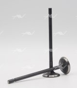 Autowelt VE57000