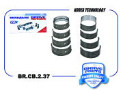 BRAVE BRCB237