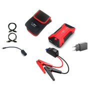 CARKU PRO10 