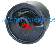 RBI T0910R
